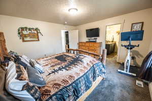 Carpeted bedroom featuring a textured ceiling, a sink, visible vents, and connected bathroom