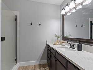 Bathroom with vanity, walk in shower, and wood-type flooring