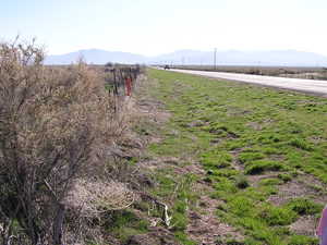 View of yard featuring a mountain view and a rural view