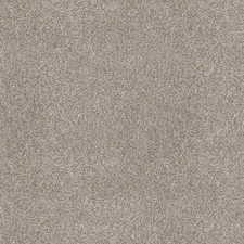 Sample pic of carpet selected for home. Options/sample pictures are for illustrative purposes only, and actual options/colors may vary from sample shown.