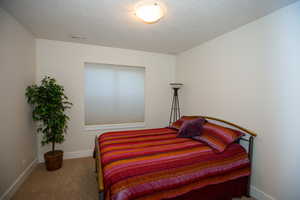 Carpeted bedroom with a textured ceiling