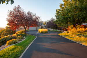 View of road