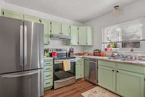 Kitchen with green cabinets, stainless steel appliances, dark hardwood / wood-style floors, and sink