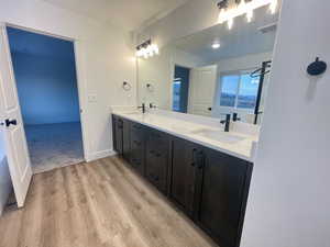 Bathroom with hardwood / wood-style floors and vanity