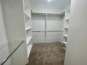 Walk in closet featuring carpet floors