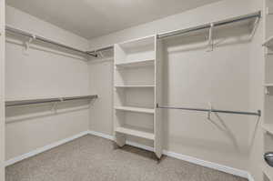 Spacious closet with light colored carpet