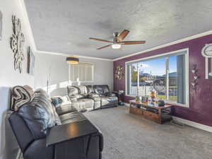 Carpeted living room featuring ornamental molding, a textured ceiling, and ceiling fan