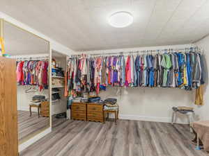 Spacious closet with hardwood / wood-style floors