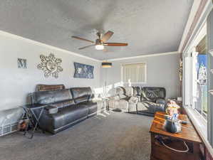 Carpeted living room featuring ceiling fan, ornamental molding, and a textured ceiling