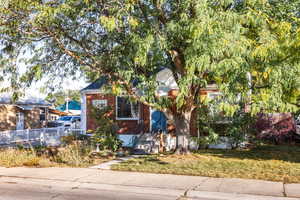 View of property hidden behind natural elements with a front yard