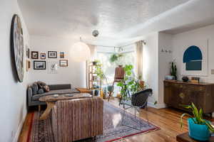 Living room with light hardwood / wood-style flooring and a textured ceiling