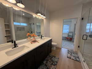 Bathroom featuring hardwood / wood-style floors, vanity, plenty of natural light, and walk in shower