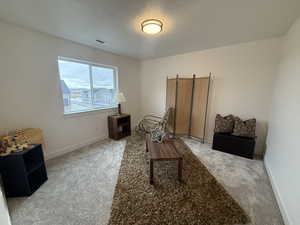 Living area featuring carpet flooring and a textured ceiling