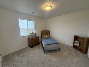 Bedroom with light carpet, a textured ceiling, and a water view