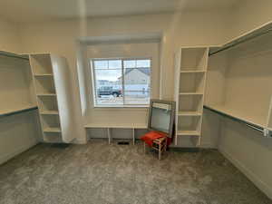 Spacious closet with carpet