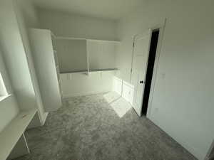 Walk in closet with light colored carpet