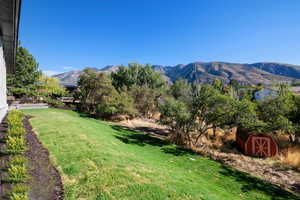 View of yard with a mountain view and a shed