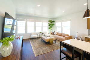 Living room with dark hardwood / wood-style floors and a healthy amount of sunlight