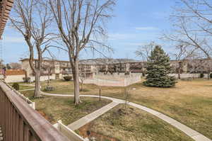 View from patio of grounds and swimming pool