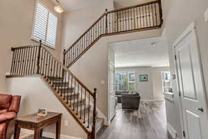 Family Room Into the Living Room.