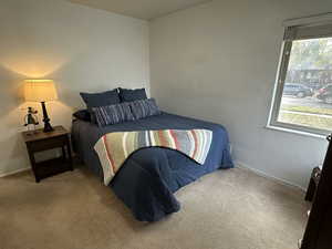 Bedroom1  with multiple windows and carpet floors.