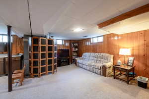 Basement family room.