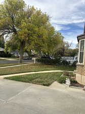 Street view from front of home.