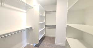 SPACIOUS Walk-in Closet