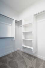 Walk in closet with carpet flooring