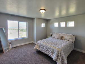 Carpeted bedroom featuring multiple windows and a textured ceiling