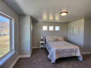 Bedroom featuring multiple windows, a textured ceiling, and dark colored carpet