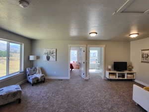 Living area featuring carpet floors and a textured ceiling