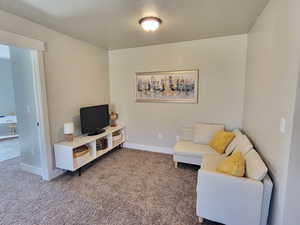 Living room with a textured ceiling and carpet floors