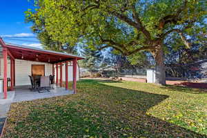 View of yard with a patio area and a storage unit