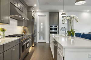 Kitchen with gray cabinetry, sink, dark hardwood / wood-style flooring, stainless steel appliances, and decorative backsplash