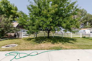 Surrounding community featuring a patio area and a lawn