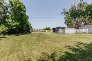 View of yard featuring a storage shed