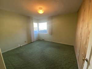 Carpeted spare room with a textured ceiling and wooden walls