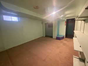 Basement with light carpet