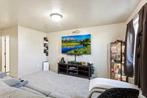 Carpeted living room with a textured ceiling