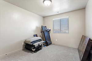 Bedroom featuring light carpet