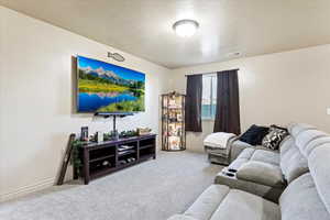 Living room featuring a textured ceiling and carpet floors