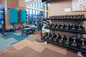 Brio community center gym, with free-weights, medicine balls, yoga mats, etc.