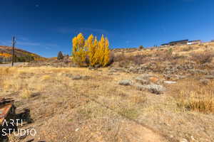 View of local wilderness with a rural view