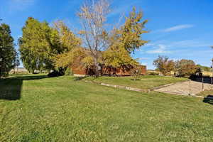 View of back and side yard