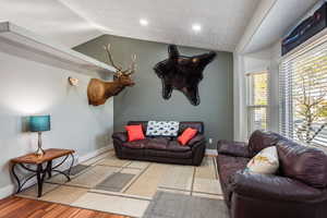 Living room featuring vaulted ceiling and light wood-type flooring