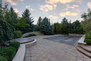 Pool at dusk with a patio