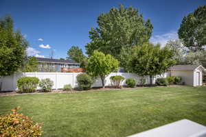 View of yard featuring a shed