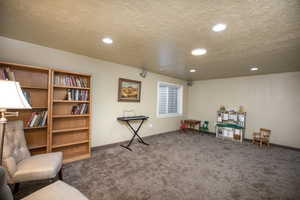 Miscellaneous room with a textured ceiling and carpet floors