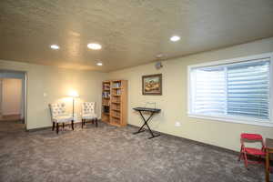 Living area featuring carpet flooring and a textured ceiling